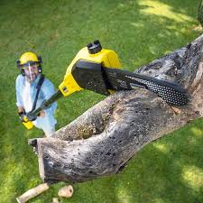 Best Emergency Tree Removal  in Oak Park Heights, MN